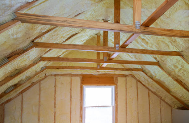 Best DIY Insulation Kits and Guidance in Clifton, TN