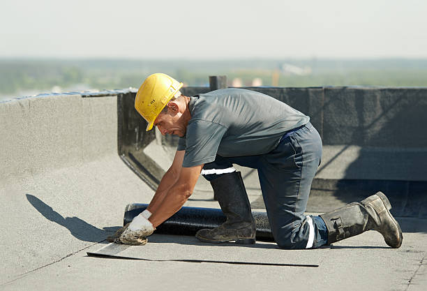 Best Geographic-Specific Insulation Services in Clifton, TN