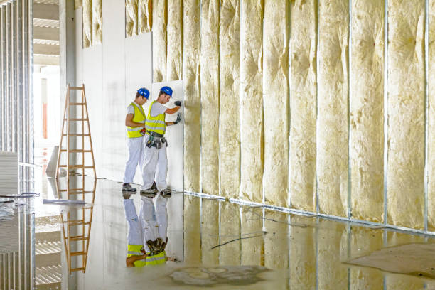 Professional Insulation Contractor in Clifton, TN